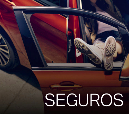 imagen-seguros