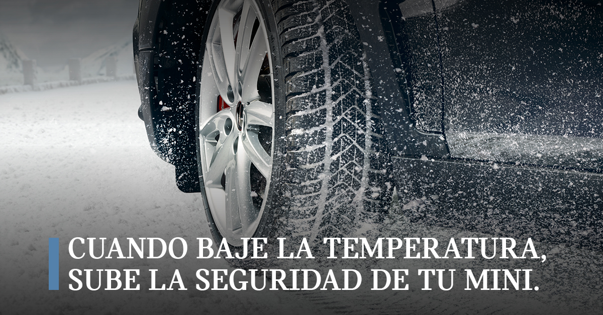 ruedas_invierno_mini