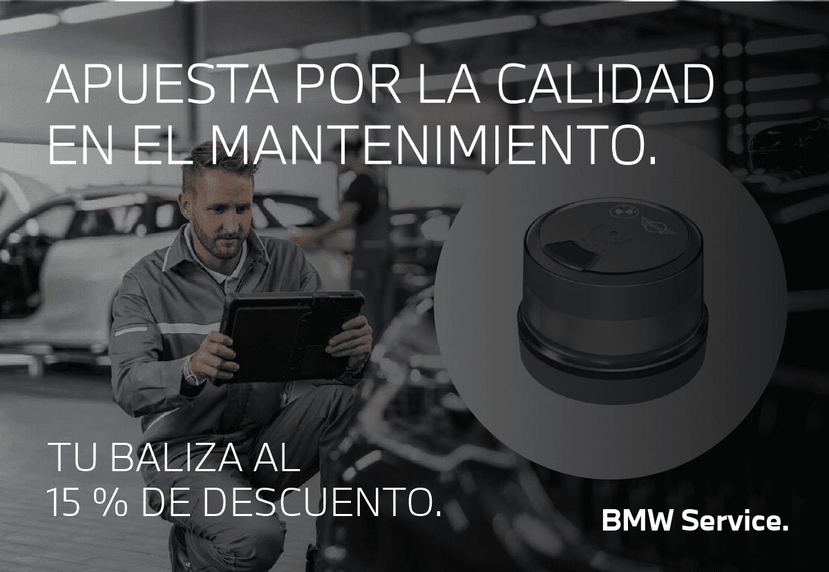 Mantenimiento y Descuento Baliza